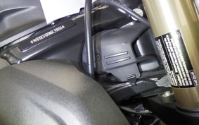 BMW S1000R M PACKAGE 2021