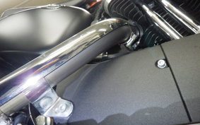 HARLEY XL1200X 2019