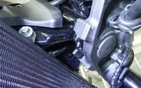 KAWASAKI Z900RS 2022 ZR900K