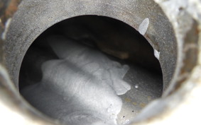 HONDA GB250 CLUBMAN Gen.4 MC10