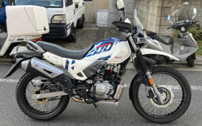 OTHER HERO X-PULSE200 4V