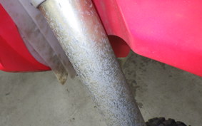 HONDA CRF250 RALLY 2024 ME10