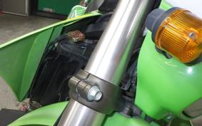 KAWASAKI KLX250 2024 LX250E