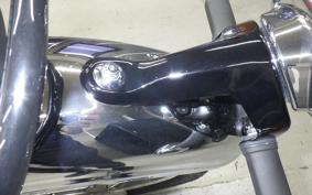KAWASAKI W800 2023 EJ800E