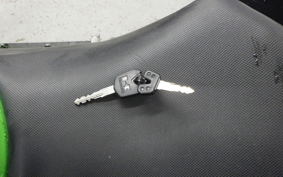 KAWASAKI NINJA 250R 2010 EX250K