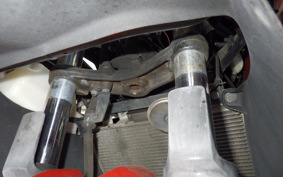 KAWASAKI NINJA 250 EX250L