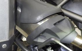 TRIUMPH TIGER 800 XR X 2017