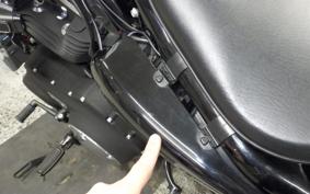 HARLEY XL883N 2013