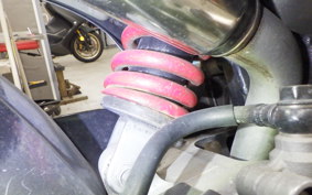HONDA HORNET 250 MC31