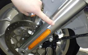 HARLEY FLFB1920 2025