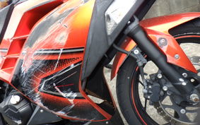 KAWASAKI NINJA 250 EX250L