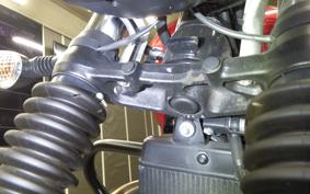 TRIUMPH SPEED TWIN 900 2024