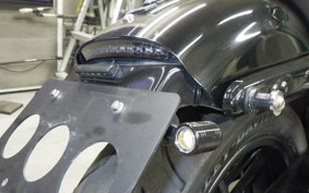 HARLEY XL1200CX 2020