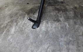 TRIUMPH SCRAMBLER 900 2023