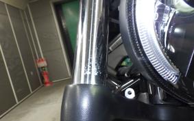 HARLEY RH975 2024