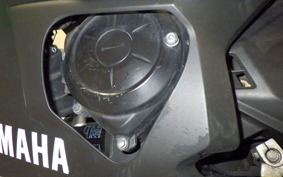 YAMAHA YZF-R25 2019 RG43J