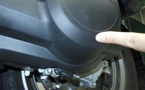 YAMAHA X FORCE 2026 SG79J