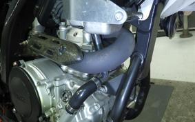 YAMAHA WR250X 2021 DG15J