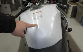 YAMAHA YZF-R1 2009 RN24J