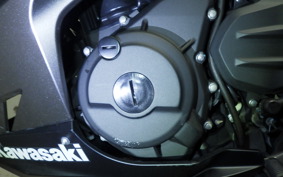 KAWASAKI NINJA 400 2024 EX400G