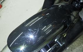 HARLEY XL1200NS 2019