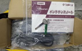 YAMAHA E-VINO SY11J
