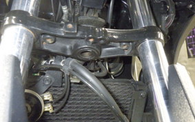 SUZUKI V-STROM 250 A