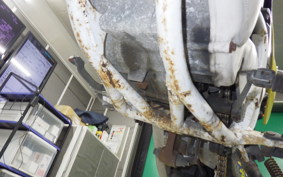 HONDA CRM250R GEN 3 2007 MD24