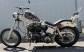 HARLEY FLH1200 2024 445