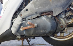 HONDA DIO CESTA AF34