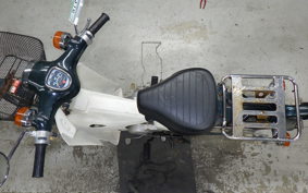 HONDA C50 SUPER CUB 2024 C50