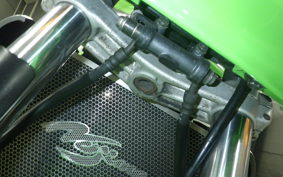 KAWASAKI ZRX1200 R 2005 ZRT20A