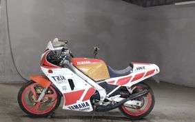 YAMAHA TZR250-1 1KT