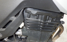 KAWASAKI VERSYS X250Aﾂｱﾗｰ 2024 LE250D