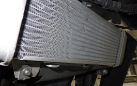 HONDA CB125 R 2024 JC79