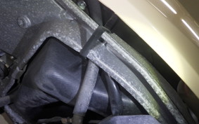 HONDA CREA SCOOPY 2017 AF55