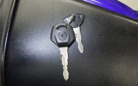 YAMAHA YZF-R25 2024 RG10J