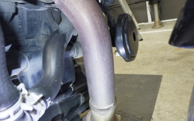 HUSQVARNA SVARTPILEN 401 2023
