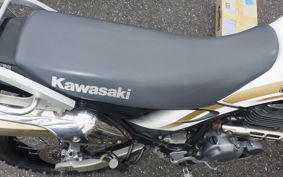 KAWASAKI SUPER SHERPA KL250G
