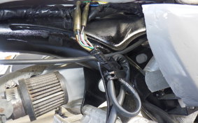 OTHER +UNREGISTERED MODEL by BDS 2022