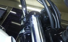KAWASAKI W230 2025 BJ230A