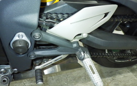TRIUMPH DAYTONA 675 R 2015