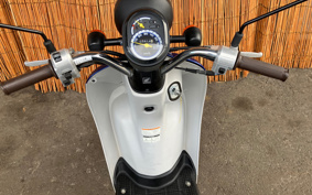 HONDA TODAY AF67