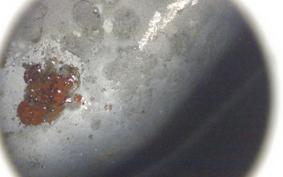 YAMAHA DRAGSTAR 1100 2006 VP13J