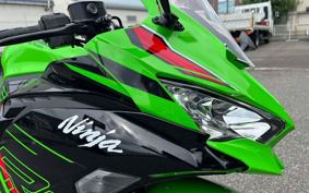 KAWASAKI Ninja ZX-4RR KRT 2024 ZX400P