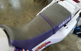 YAMAHA TT250RRAID 4GY