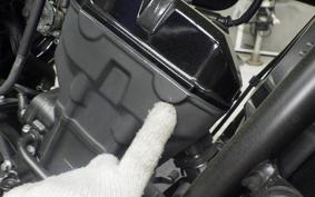 HONDA REBEL 250 S MC49