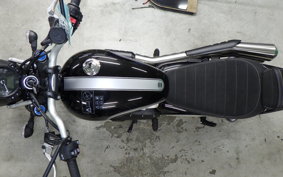 TRIUMPH SCRAMBLER 900 2025