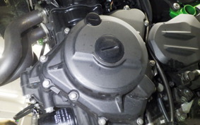 KAWASAKI Z250 Gen.2 2024 EX250Y