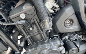 HONDA REBEL 1100 DCT 2021 SC83